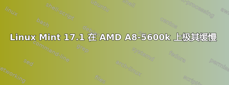 Linux Mint 17.1 在 AMD A8-5600k 上极其缓慢