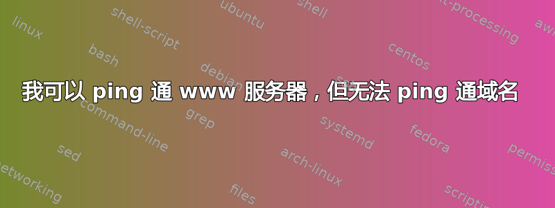 我可以 ping 通 www 服务器，但无法 ping 通域名 