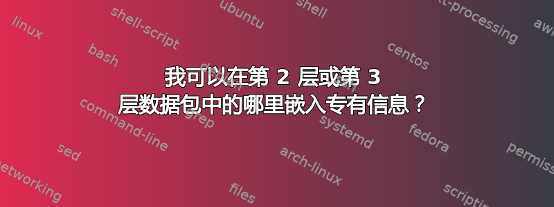 我可以在第 2 层或第 3 层数据包中的哪里嵌入专有信息？