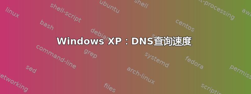 Windows XP：DNS查询速度