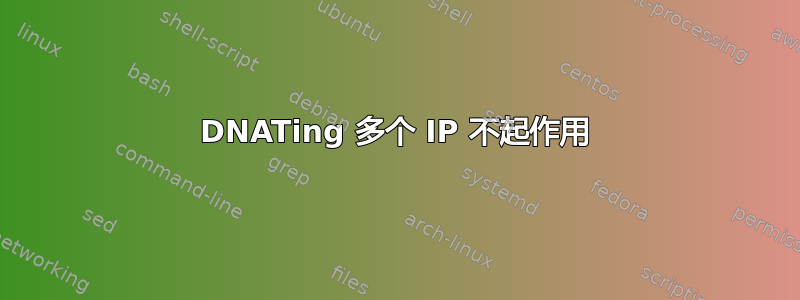 DNATing 多个 IP 不起作用