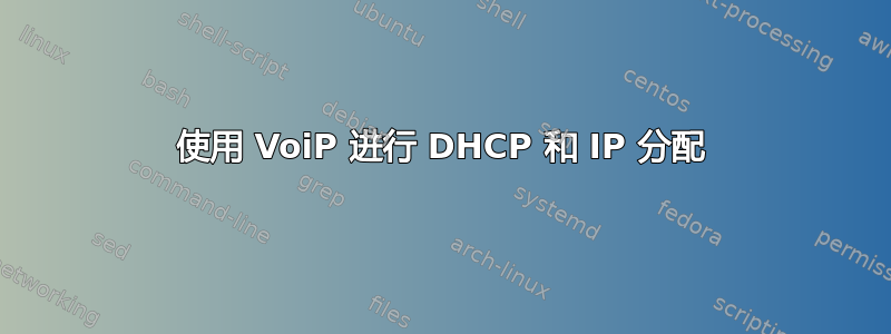 使用 VoiP 进行 DHCP 和 IP 分配