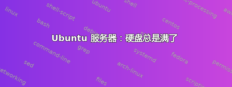 Ubuntu 服务器：硬盘总是满了