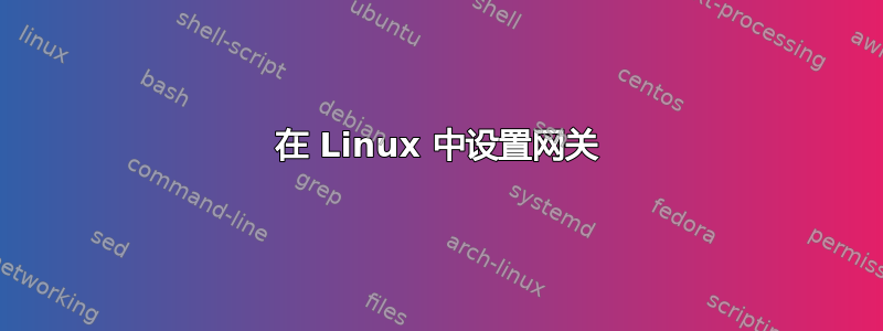 在 Linux 中设置网关