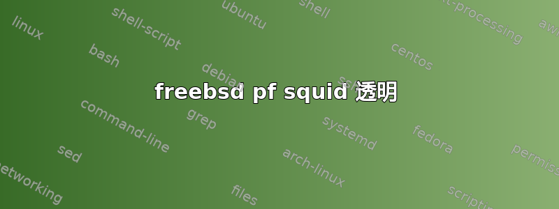 freebsd pf squid 透明