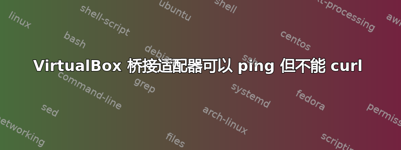 VirtualBox 桥接适配器可以 ping 但不能 curl