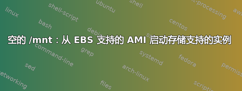 空的 /mnt：从 EBS 支持的 AMI 启动存储支持的实例