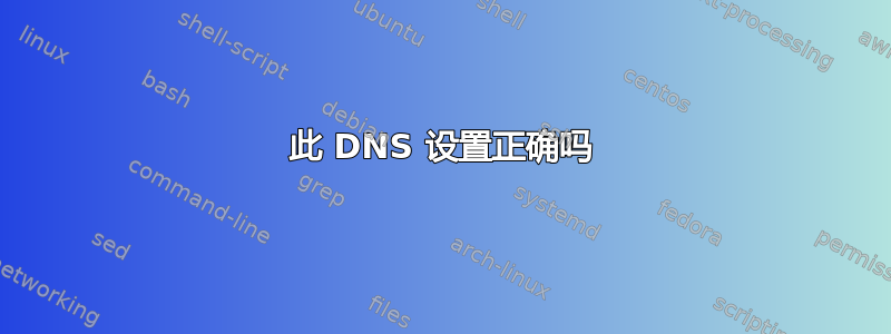 此 DNS 设置正确吗