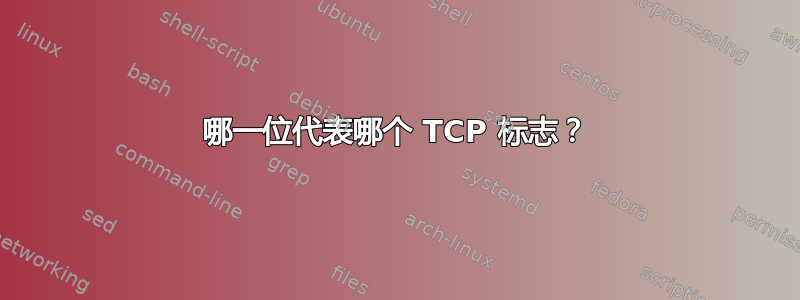 哪一位代表哪个 TCP 标志？