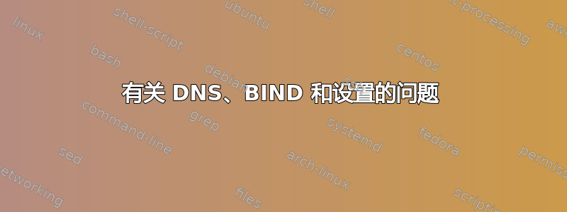 有关 DNS、BIND 和设置的问题