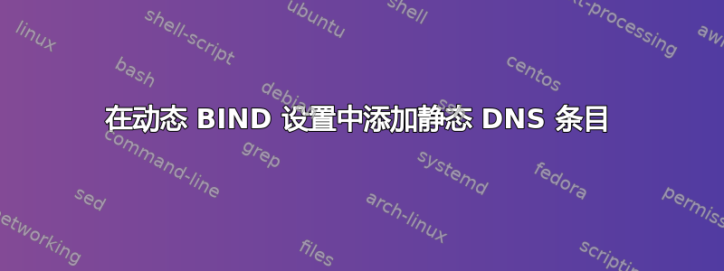 在动态 BIND 设置中添加静态 DNS 条目