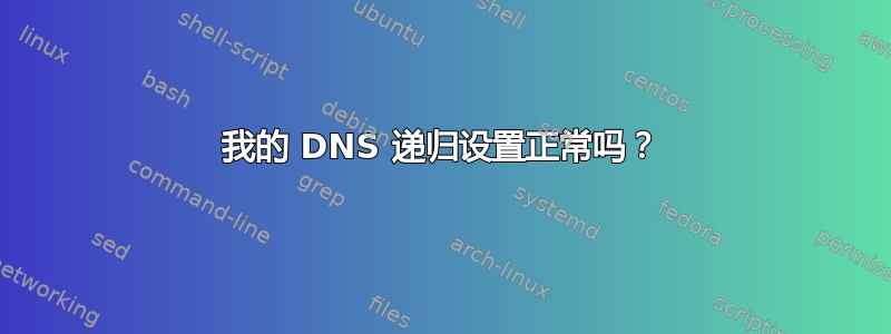 我的 DNS 递归设置正常吗？