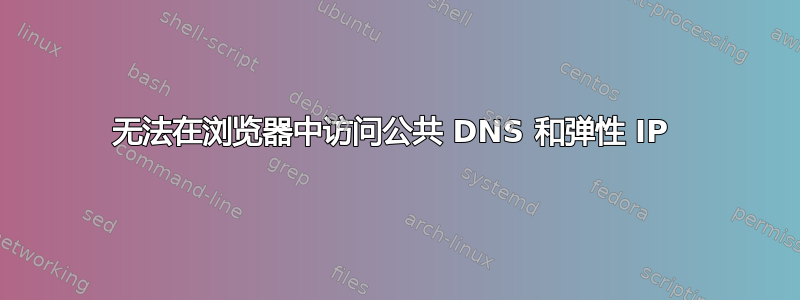 无法在浏览器中访问公共 DNS 和弹性 IP 