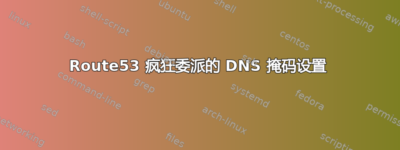 Route53 疯狂委派的 DNS 掩码设置