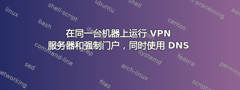 在同一台机器上运行 VPN 服务器和强制门户，同时使用 DNS