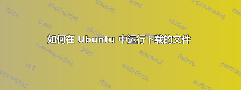 如何在 Ubuntu 中运行下载的文件