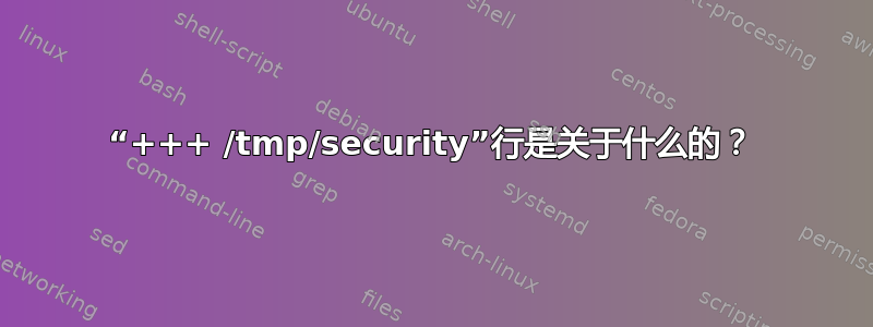 “+++ /tmp/security”行是关于什么的？