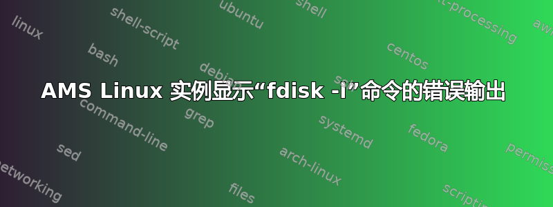 AMS Linux 实例显示“fdisk -l”命令的错误输出