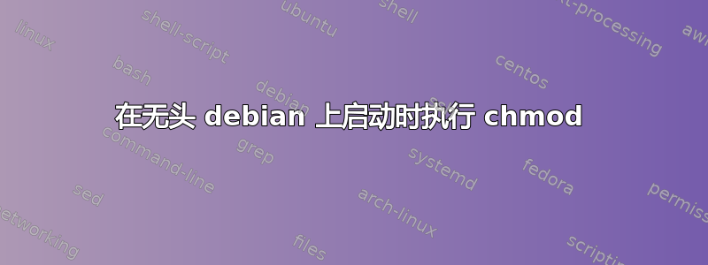 在无头 debian 上启动时执行 chmod