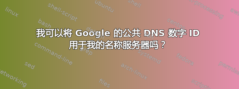 我可以将 Google 的公共 DNS 数字 ID 用于我的名称服务器吗？