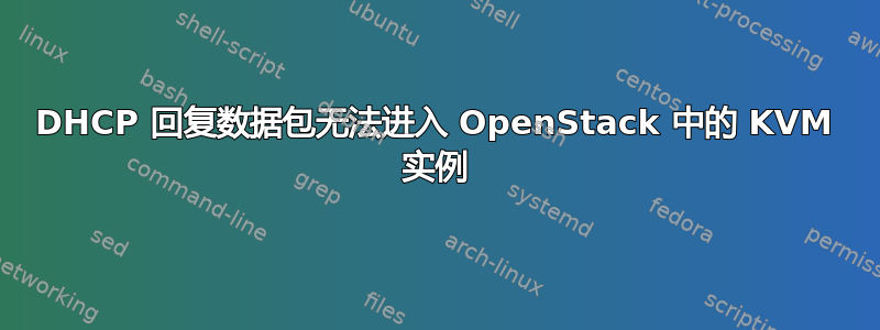 DHCP 回复数据包无法进入 OpenStack 中的 KVM 实例