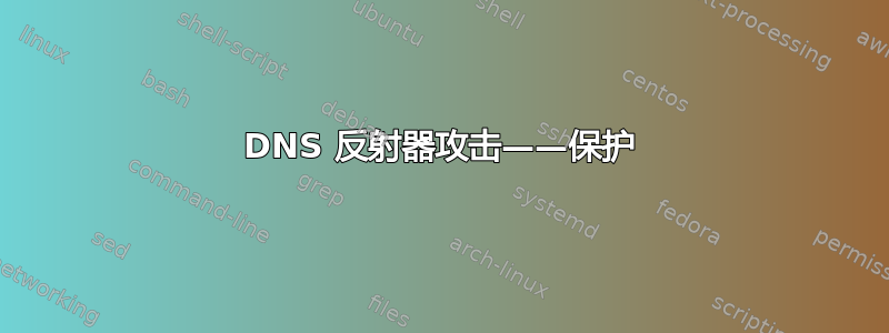 DNS 反射器攻击——保护