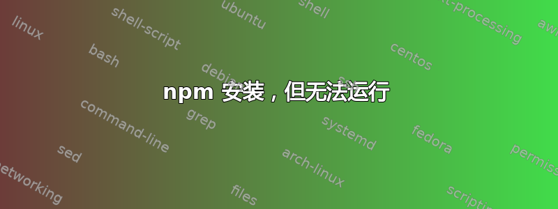 npm 安装，但无法运行