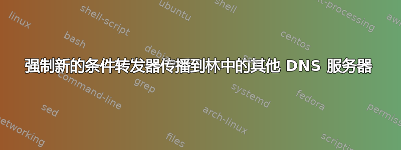 强制新的条件转发器传播到林中的其他 DNS 服务器