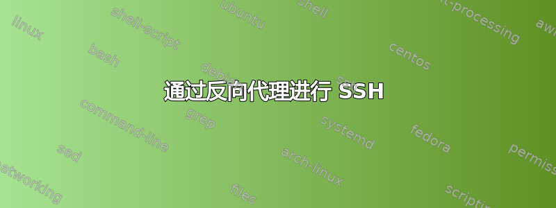 通过反向代理进行 SSH