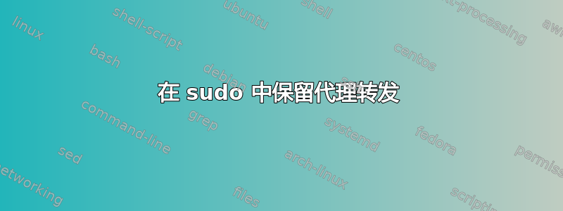 在 sudo 中保留代理转发