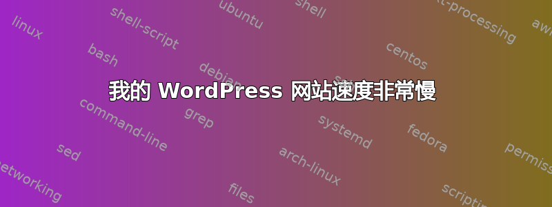 我的 WordPress 网站速度非常慢