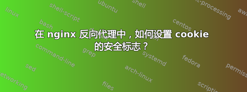 在 nginx 反向代理中，如何设置 cookie 的安全标志？