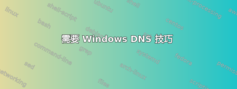 需要 Windows DNS 技巧