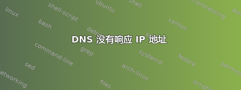 DNS 没有响应 IP 地址