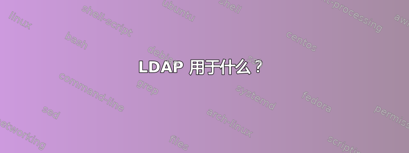 LDAP 用于什么？