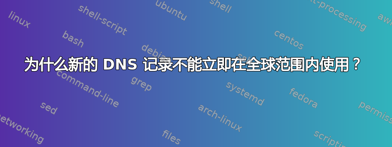 为什么新的 DNS 记录不能立即在全球范围内使用？