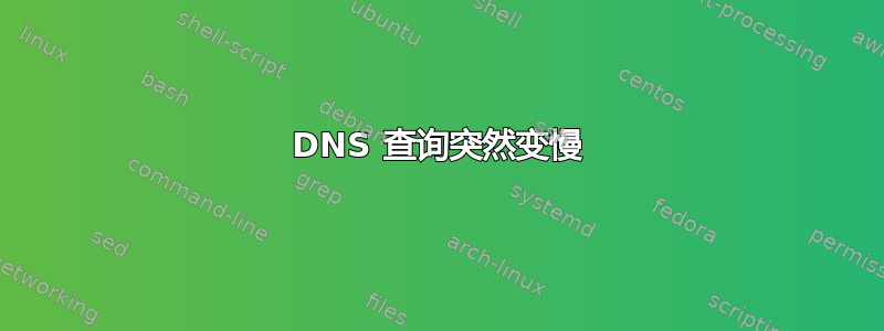 DNS 查询突然变慢