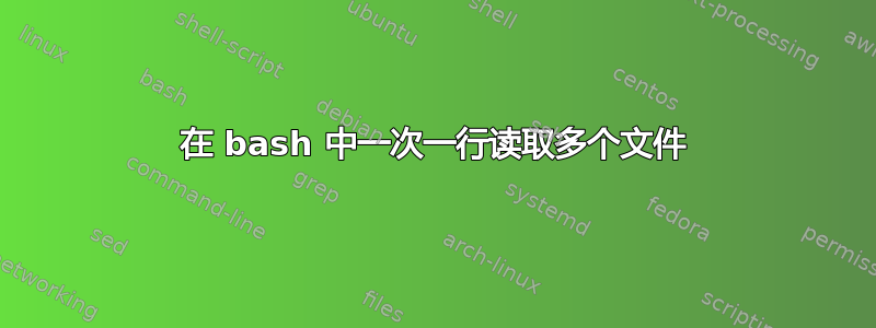 在 bash 中一次一行读取多个文件