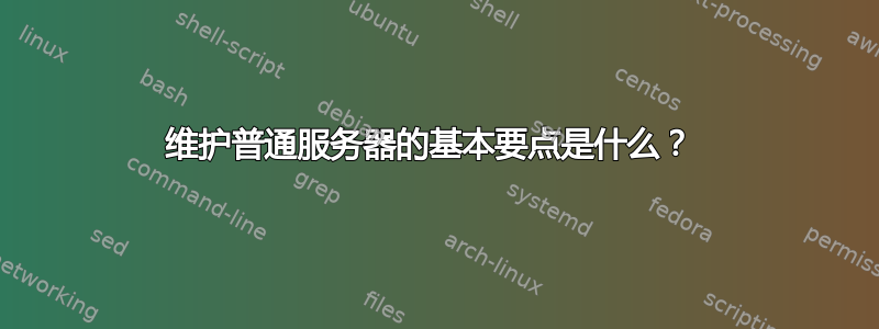 维护普通服务器的基本要点是什么？ 