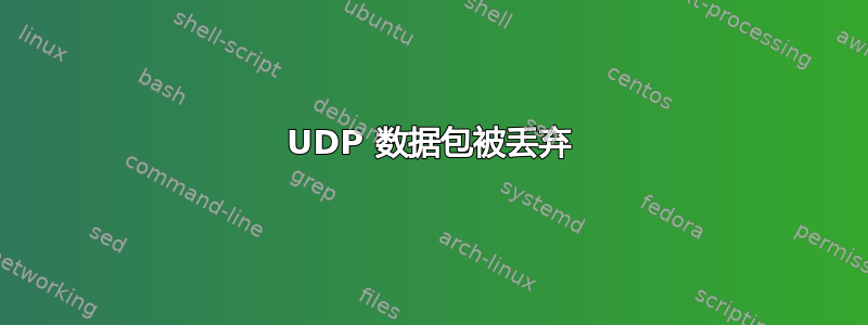 UDP 数据包被丢弃