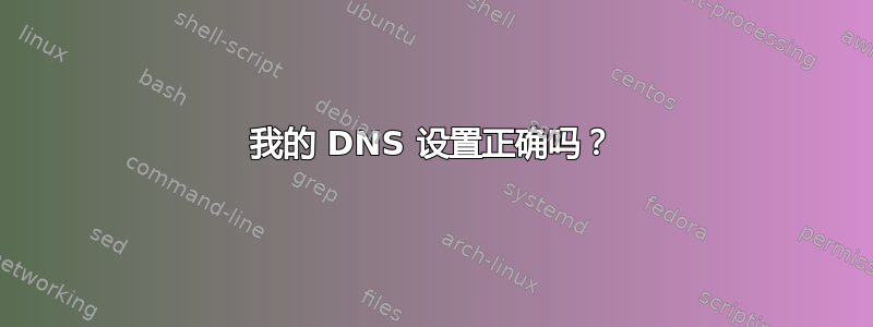 我的 DNS 设置正确吗？