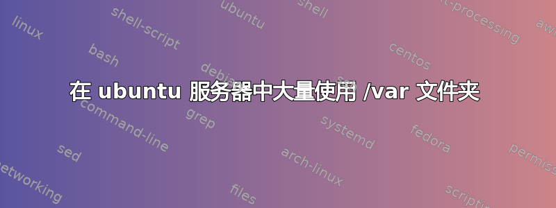 在 ubuntu 服务器中大量使用 /var 文件夹