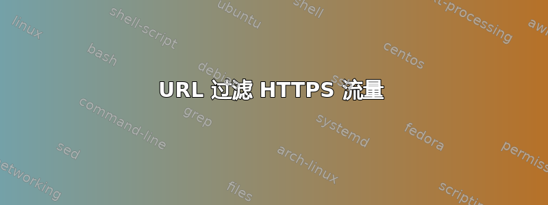 URL 过滤 HTTPS 流量