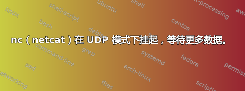 nc（netcat）在 UDP 模式下挂起，等待更多数据。