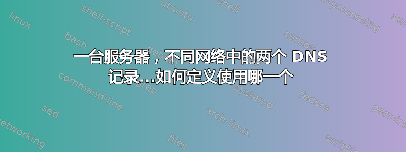 一台服务器，不同网络中的两个 DNS 记录...如何定义使用哪一个