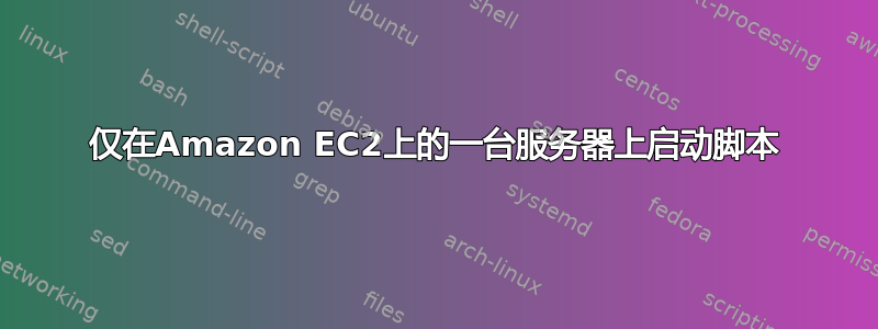 仅在Amazon EC2上的一台服务器上启动脚本