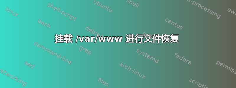 挂载 /var/www 进行文件恢复