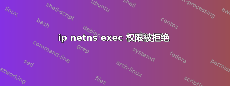 ip netns exec 权限被拒绝