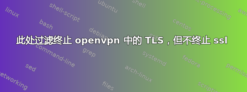 此处过滤终止 openvpn 中的 TLS，但不终止 ssl