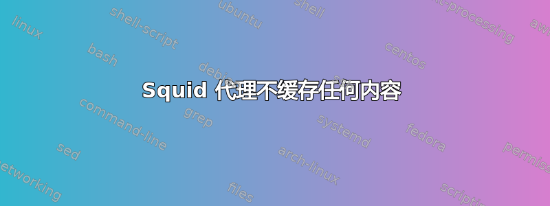 Squid 代理不缓存任何内容